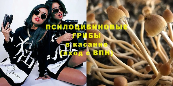 прущая мука Медвежьегорск