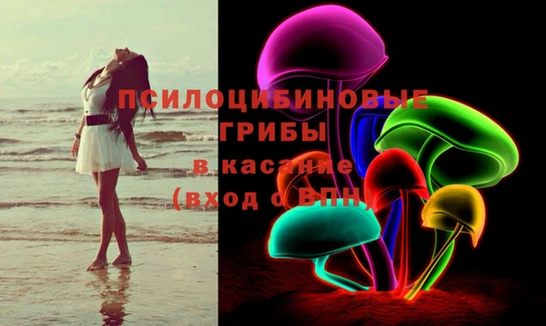 2c-b Медногорск